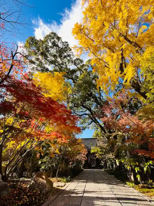 鳥飼八幡宮(福岡県)