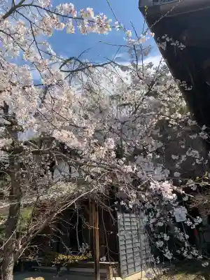 関善光寺の{uncategorized: "未分類", other: "その他", undefined: "問題あり", building: "その他建物", grave: "お墓", sacred_gate: "鳥居", guardian: "狛犬", statue: "像", buddha: "仏像", history: "歴史", nature: "自然", garden: "庭園", animal: "動物", pagoda: "塔", temizu: "手水舎", mountain_gate: "山門・神門", sanctuary: "本殿・本堂", subordinate: "末社・摂社", art: "芸術", scenery: "景色", jizo: "地蔵", ema: "絵馬", goshuin: "御朱印", omikuji: "おみくじ", items: "授与品その他", amulet: "お守り", goshuincho: "御朱印帳", eats: "食事", festival: "お祭り", votive_dance: "神楽", shichigosan: "七五三参", wedding: "結婚式", experience: "体験その他", initially: "初詣", around: "周辺", anti_infection: "感染症対策"}
