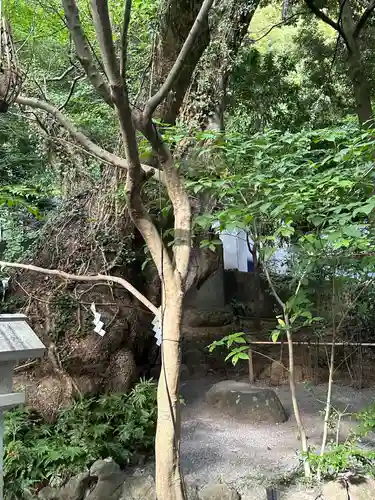 來宮神社(静岡県)
