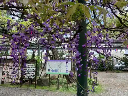 國領神社(東京都)