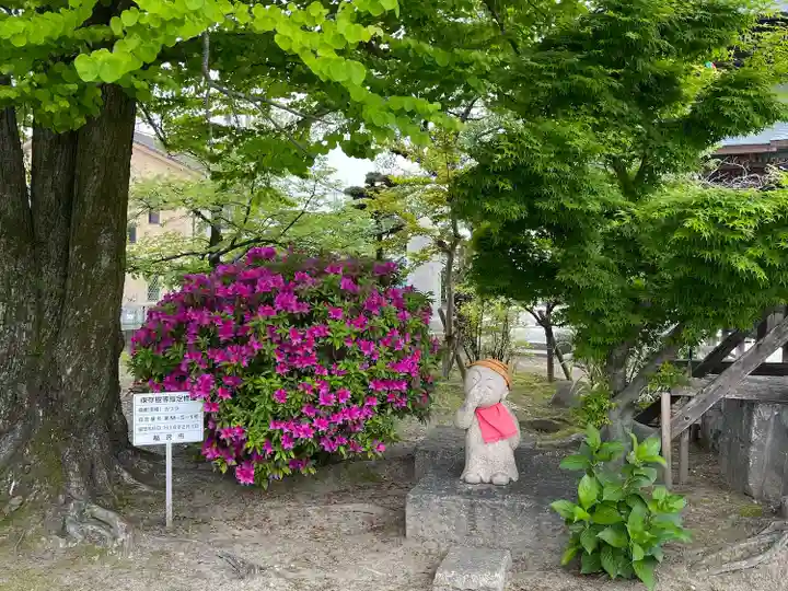 善光寺東海別院(祖父江善光寺)(愛知県)