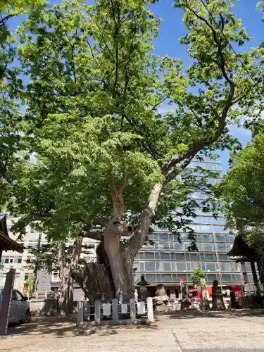 阿邪訶根神社の自然