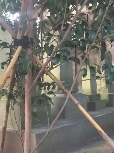 姫宮神社のその他建物