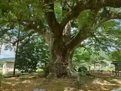 蟻無神社(大阪府)