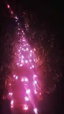 尾張大國霊神社（国府宮）のお祭り