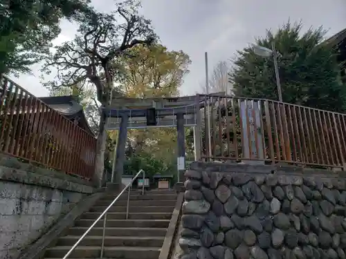 上高田氷川神社の鳥居