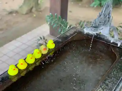 柏諏訪神社の手水舎