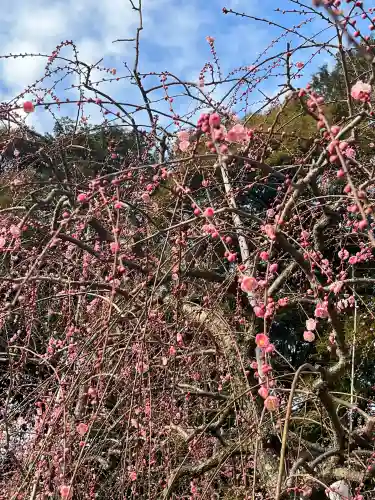 大縣神社の{uncategorized: "未分類", other: "その他", undefined: "問題あり", building: "その他建物", grave: "お墓", sacred_gate: "鳥居", guardian: "狛犬", statue: "像", buddha: "仏像", history: "歴史", nature: "自然", garden: "庭園", animal: "動物", pagoda: "塔", temizu: "手水舎", mountain_gate: "山門・神門", sanctuary: "本殿・本堂", subordinate: "末社・摂社", art: "芸術", scenery: "景色", jizo: "地蔵", ema: "絵馬", goshuin: "御朱印", omikuji: "おみくじ", items: "授与品その他", amulet: "お守り", goshuincho: "御朱印帳", eats: "食事", festival: "お祭り", votive_dance: "神楽", shichigosan: "七五三参", wedding: "結婚式", experience: "体験その他", initially: "初詣", around: "周辺", anti_infection: "感染症対策"}
