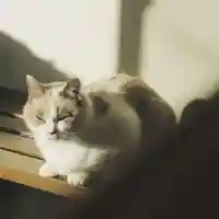 下野大師華蔵寺の動物