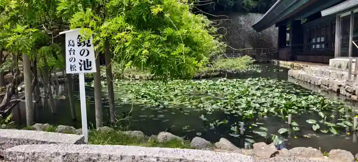 出雲大社(島根県)