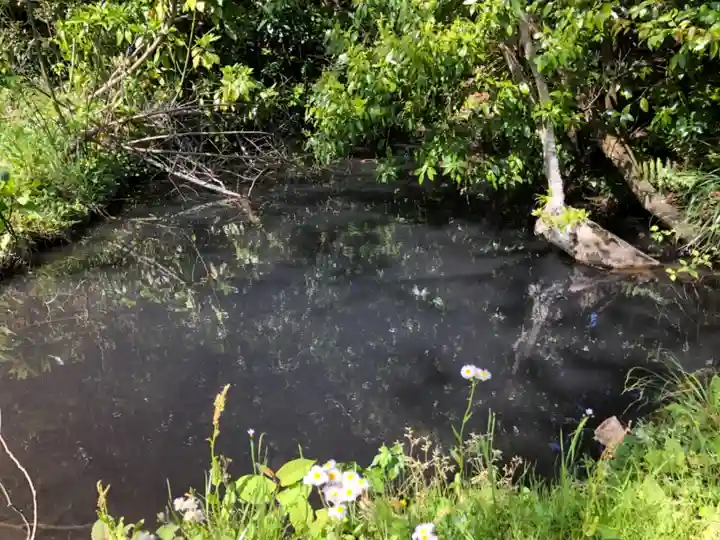 神洗神社のその他建物