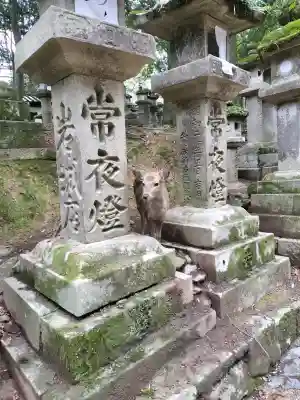 春日大社の{uncategorized: "未分類", other: "その他", undefined: "問題あり", building: "その他建物", grave: "お墓", sacred_gate: "鳥居", guardian: "狛犬", statue: "像", buddha: "仏像", history: "歴史", nature: "自然", garden: "庭園", animal: "動物", pagoda: "塔", temizu: "手水舎", mountain_gate: "山門・神門", sanctuary: "本殿・本堂", subordinate: "末社・摂社", art: "芸術", scenery: "景色", jizo: "地蔵", ema: "絵馬", goshuin: "御朱印", omikuji: "おみくじ", items: "授与品その他", amulet: "お守り", goshuincho: "御朱印帳", eats: "食事", festival: "お祭り", votive_dance: "神楽", shichigosan: "七五三参", wedding: "結婚式", experience: "体験その他", initially: "初詣", around: "周辺", anti_infection: "感染症対策"}