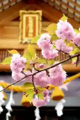 札幌祖霊神社の自然