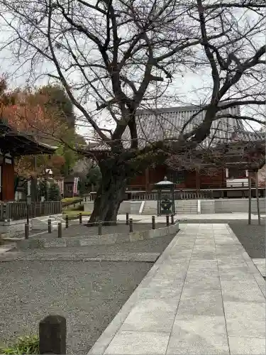 智清寺(東京都)
