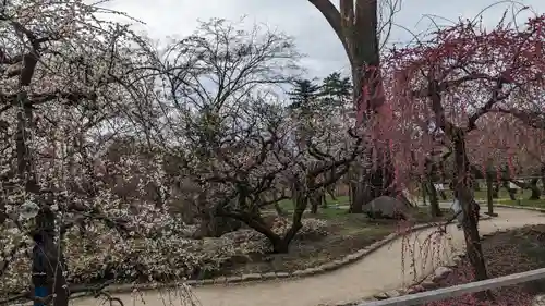 北野天満宮(京都府)