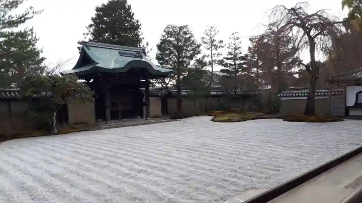 高台寺(高台寿聖禅寺・高臺寺)の庭園