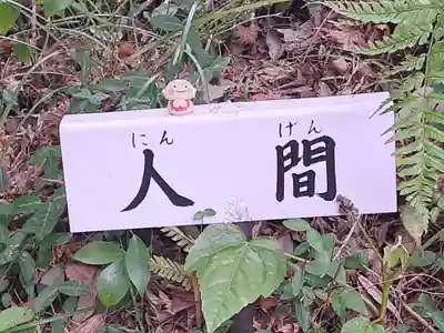 宝満寺(大分県)