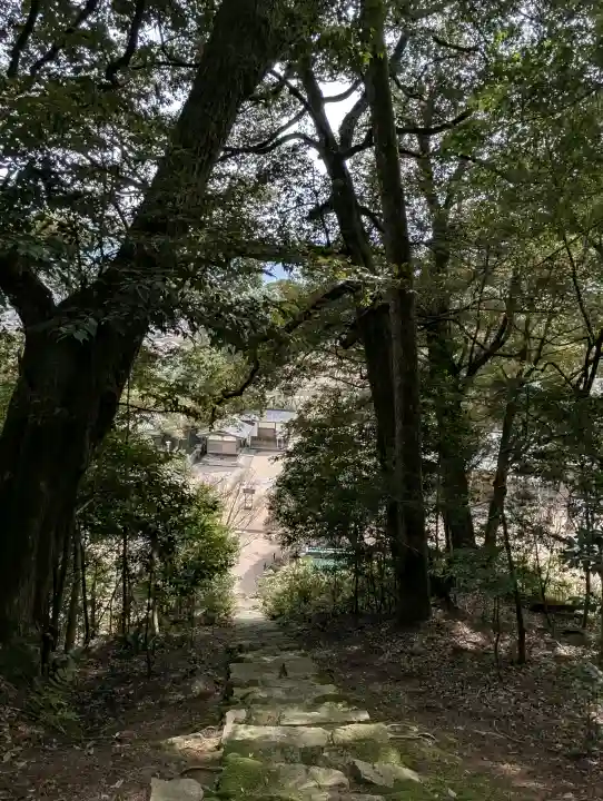 山王宮日吉神社の{uncategorized: "未分類", other: "その他", undefined: "問題あり", building: "その他建物", grave: "お墓", sacred_gate: "鳥居", guardian: "狛犬", statue: "像", buddha: "仏像", history: "歴史", nature: "自然", garden: "庭園", animal: "動物", pagoda: "塔", temizu: "手水舎", mountain_gate: "山門・神門", sanctuary: "本殿・本堂", subordinate: "末社・摂社", art: "芸術", scenery: "景色", jizo: "地蔵", ema: "絵馬", goshuin: "御朱印", omikuji: "おみくじ", items: "授与品その他", amulet: "お守り", goshuincho: "御朱印帳", eats: "食事", festival: "お祭り", votive_dance: "神楽", shichigosan: "七五三参", wedding: "結婚式", experience: "体験その他", initially: "初詣", around: "周辺", anti_infection: "感染症対策"}
