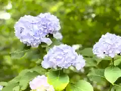 仁科神社(長野県)