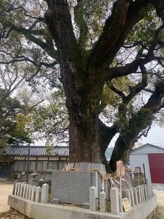 船守神社(大阪府)