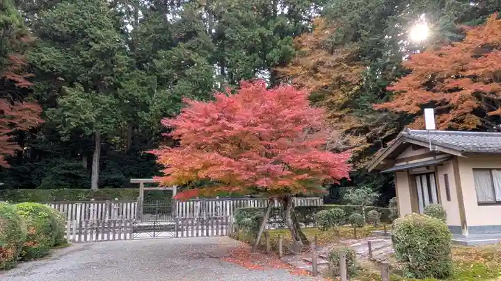 後鳥羽天皇・順徳天皇 大原陵(京都府)