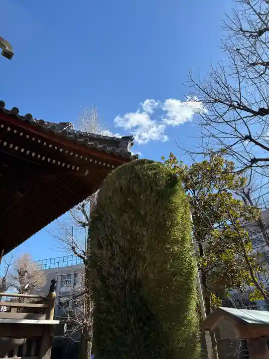 寛永寺(根本中堂)(東京都)