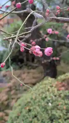 宝蔵寺(京都府)