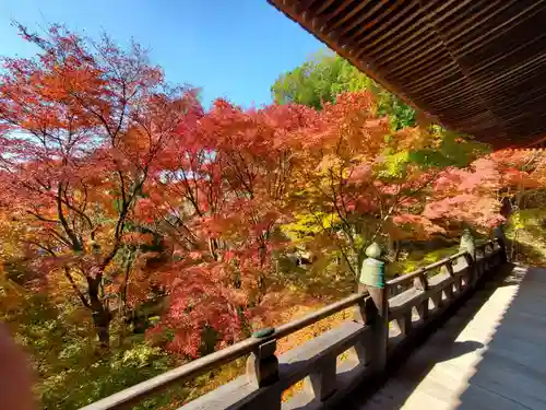播州清水寺の自然