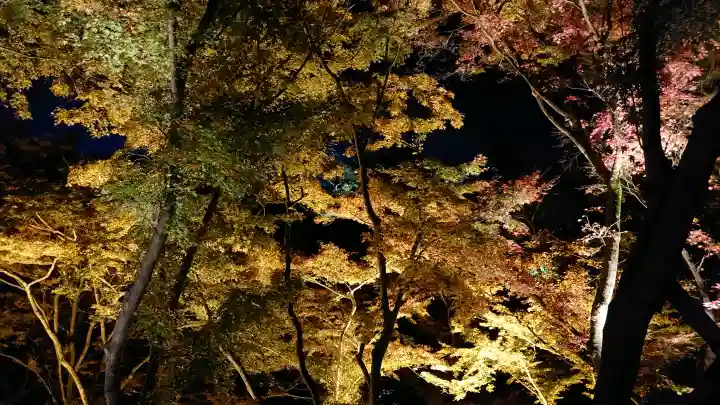 清水寺の{uncategorized: "未分類", other: "その他", undefined: "問題あり", building: "その他建物", grave: "お墓", sacred_gate: "鳥居", guardian: "狛犬", statue: "像", buddha: "仏像", history: "歴史", nature: "自然", garden: "庭園", animal: "動物", pagoda: "塔", temizu: "手水舎", mountain_gate: "山門・神門", sanctuary: "本殿・本堂", subordinate: "末社・摂社", art: "芸術", scenery: "景色", jizo: "地蔵", ema: "絵馬", goshuin: "御朱印", omikuji: "おみくじ", items: "授与品その他", amulet: "お守り", goshuincho: "御朱印帳", eats: "食事", festival: "お祭り", votive_dance: "神楽", shichigosan: "七五三参", wedding: "結婚式", experience: "体験その他", initially: "初詣", around: "周辺", anti_infection: "感染症対策"}