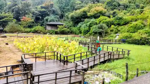 大安禅寺(福井県)