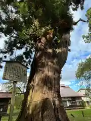 慶徳稲荷神社(福島県)