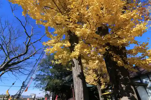 阿邪訶根神社の自然