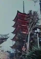 厳島神社の建物その他