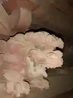 伏木香取神社の芸術