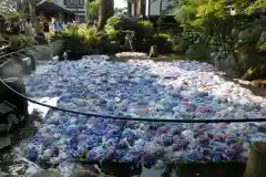 楽法寺（雨引観音）のお祭り