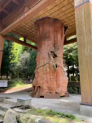 国造神社のその他建物