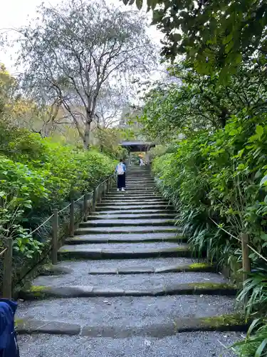明月院(神奈川県)