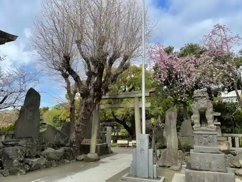 牛嶋神社の鳥居