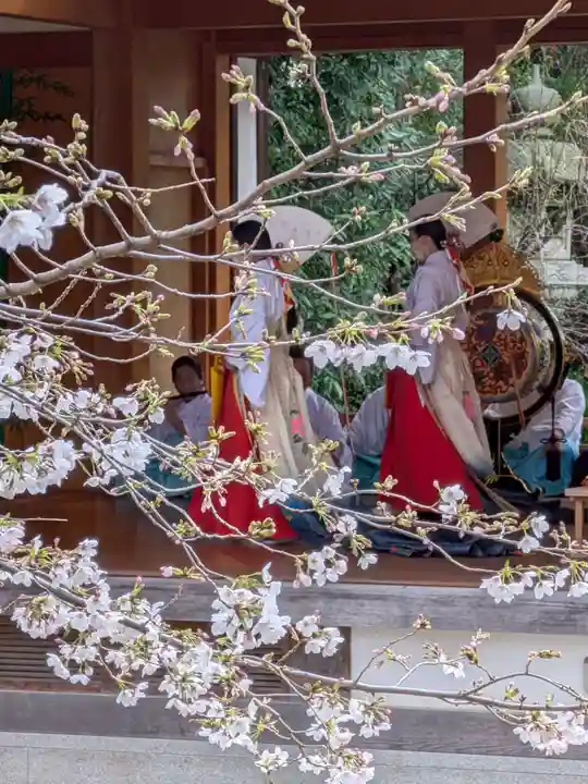 阿佐ヶ谷神明宮(東京都)