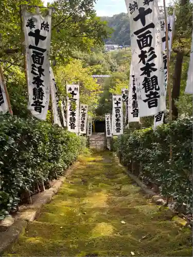 杉本寺の自然