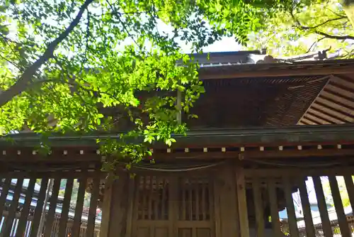 川越氷川神社(埼玉県)