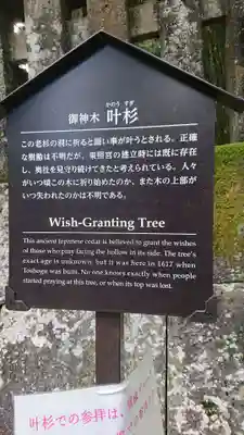 日光東照宮(栃木県)