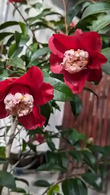 宝蔵寺(京都府)