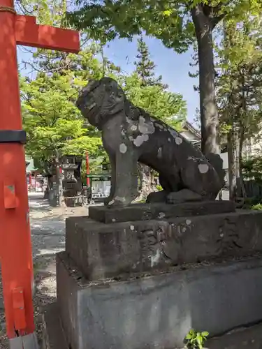 深志神社の狛犬