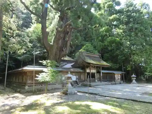 若狭姫神社（若狭彦神社下社）の建物その他