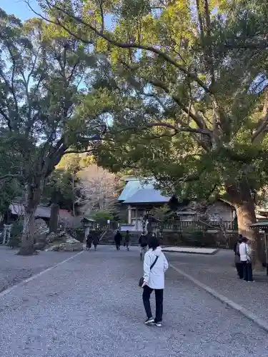 安房神社の{uncategorized: "未分類", other: "その他", undefined: "問題あり", building: "その他建物", grave: "お墓", sacred_gate: "鳥居", guardian: "狛犬", statue: "像", buddha: "仏像", history: "歴史", nature: "自然", garden: "庭園", animal: "動物", pagoda: "塔", temizu: "手水舎", mountain_gate: "山門・神門", sanctuary: "本殿・本堂", subordinate: "末社・摂社", art: "芸術", scenery: "景色", jizo: "地蔵", ema: "絵馬", goshuin: "御朱印", omikuji: "おみくじ", items: "授与品その他", amulet: "お守り", goshuincho: "御朱印帳", eats: "食事", festival: "お祭り", votive_dance: "神楽", shichigosan: "七五三参", wedding: "結婚式", experience: "体験その他", initially: "初詣", around: "周辺", anti_infection: "感染症対策"}