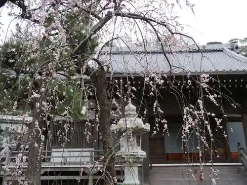 常立寺の本殿・本堂