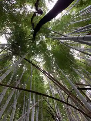 浅間神社(千葉県)