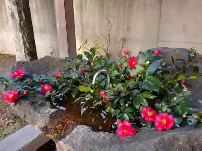 愛宕神社(福島県)