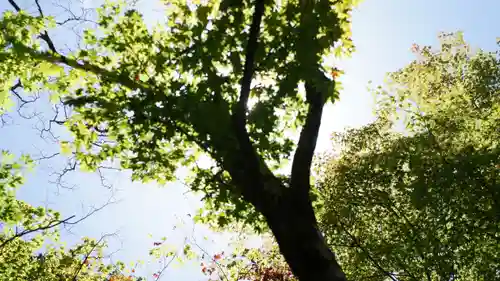 詩仙堂（丈山寺）(京都府)